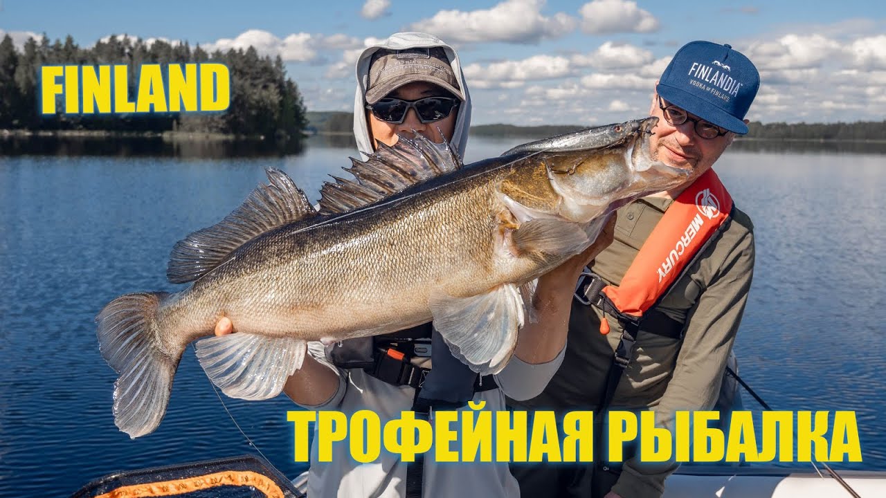 Два огромных судака 7+! Рыбалка с Корейцем. Panoptix LiveScope.