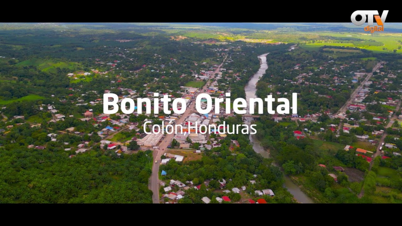 OTV NOTICIAS MERIDIANO 3 DE FEBRERO DE 2026