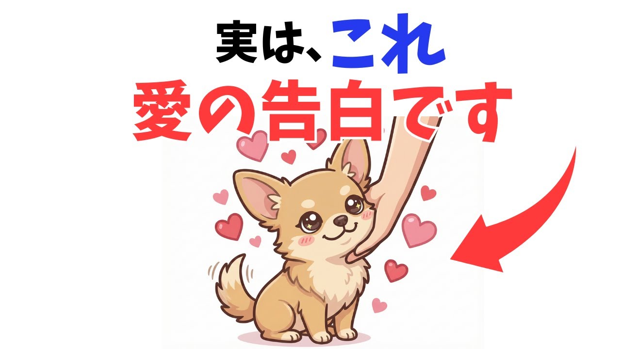 多くの飼い主が気づかない「犬からの究極の愛の告白」20選