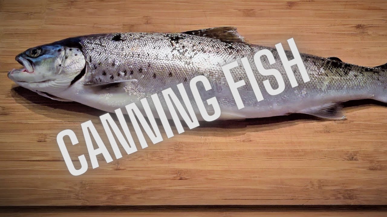 How to Can fish at home #rebelcanners