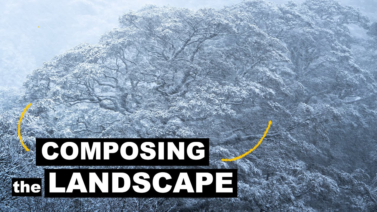 Composition TIPS and How To SEE the Image