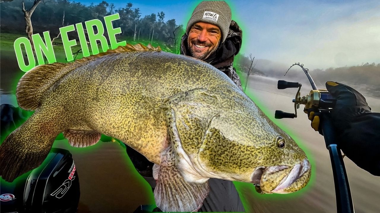 Murray Cod Mayhem at Copeton Dam: Timing is Everything
