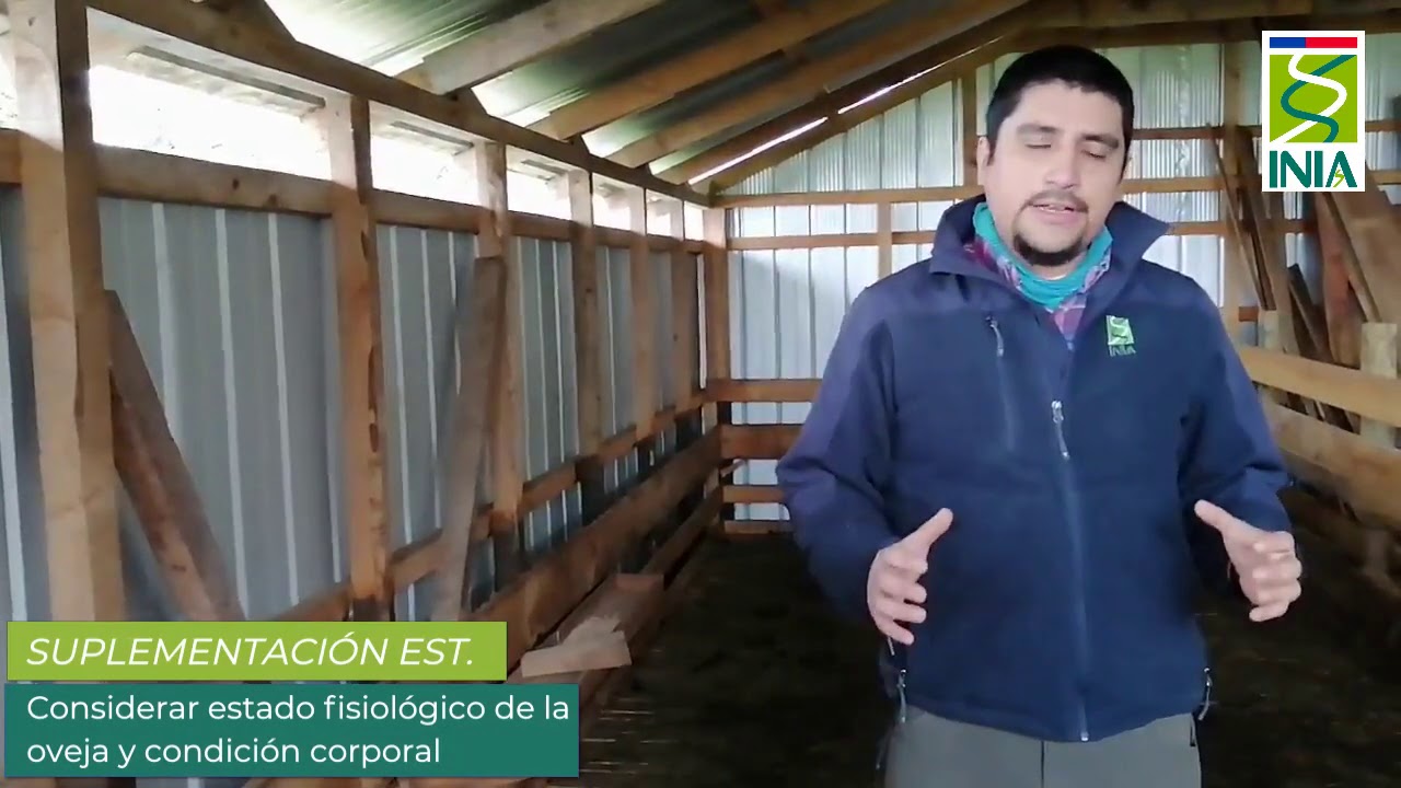 Recomendaciones de manejo ovino en otoño/invierno_Producción Animal