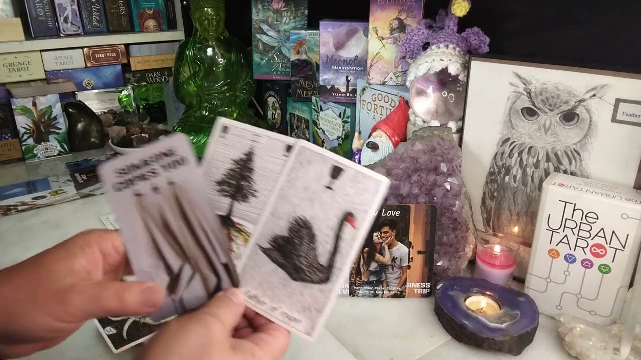 AQUARIUS New Love Enters! Eyes Are On You & Someone From The Past Is Also Watching