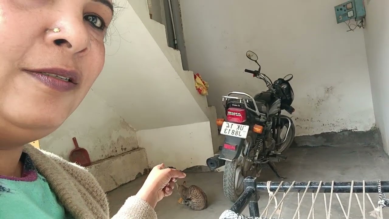 ,#मेरे दोस्त ये वो दोस्त है जो इन्सान से ज्यादा वफादार होते हैं 😍😊♥️🥰