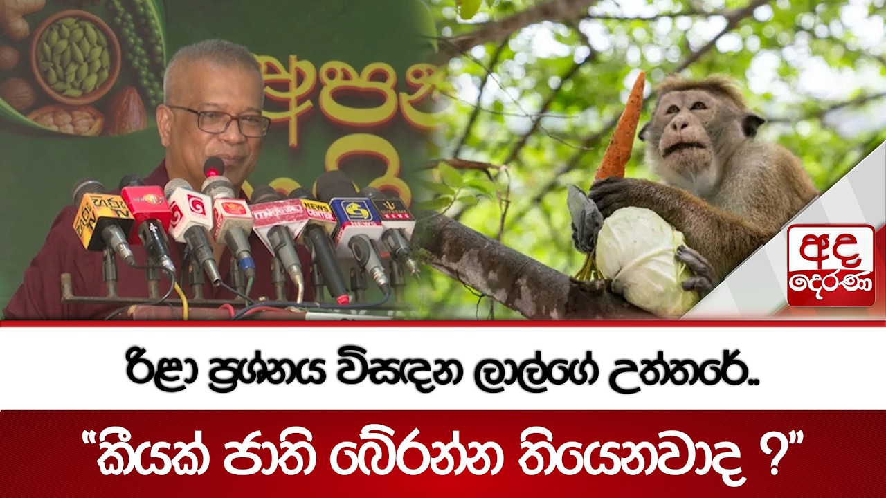 රිළා ප්‍රශ්නය විසඳන ලාල්ගේ උත්තරේ..