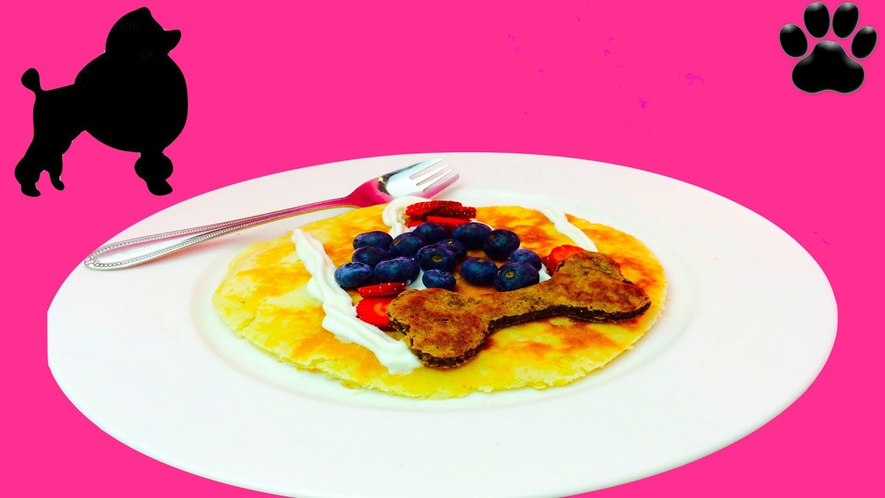How to make BLUEBERRY DOG PANCAKE  HotCake Flapjack Griddlecake - DIY Dog Food by Cooking For Dogs