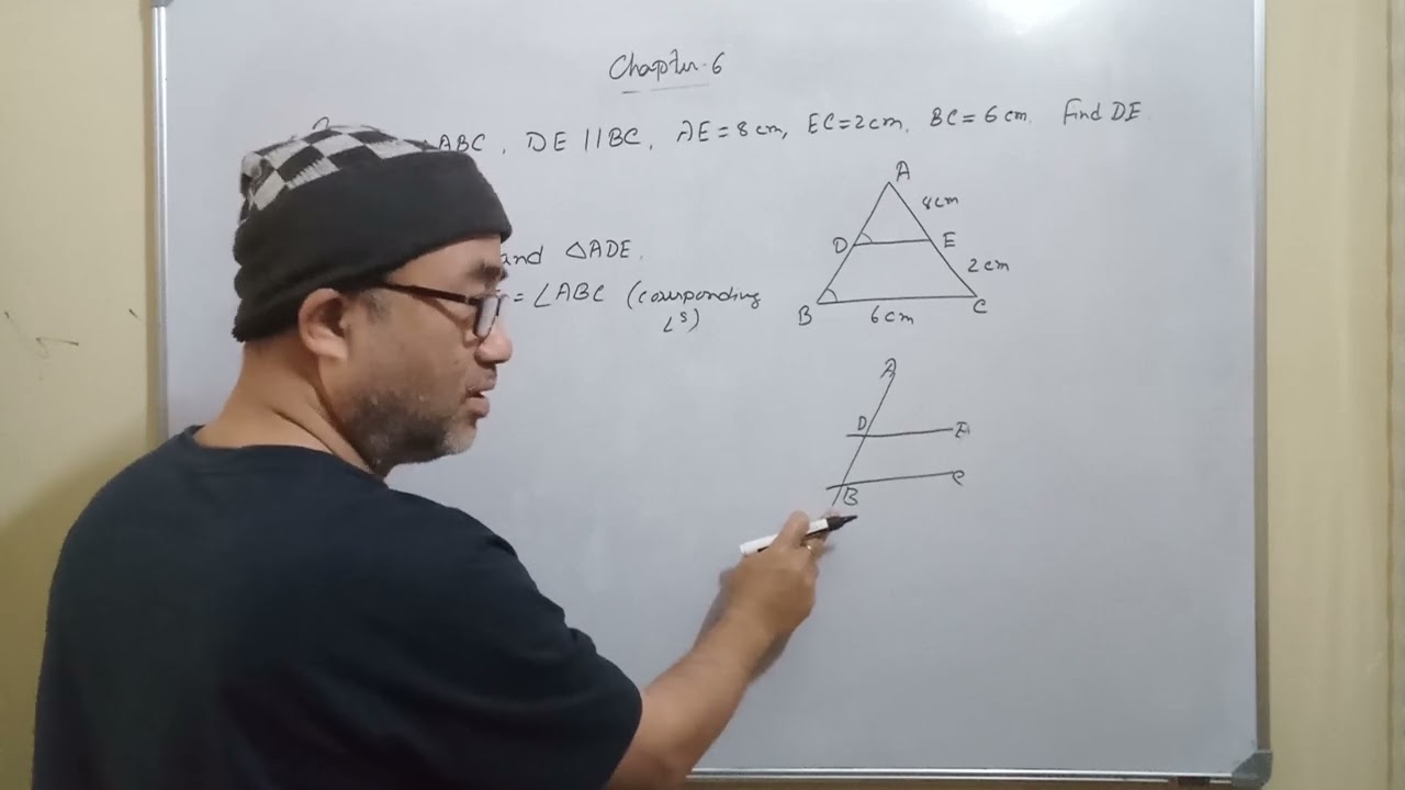 Similarity of Triangles Numericals | CBSE Class 10 Maths Chapter 6 | Solved Problem