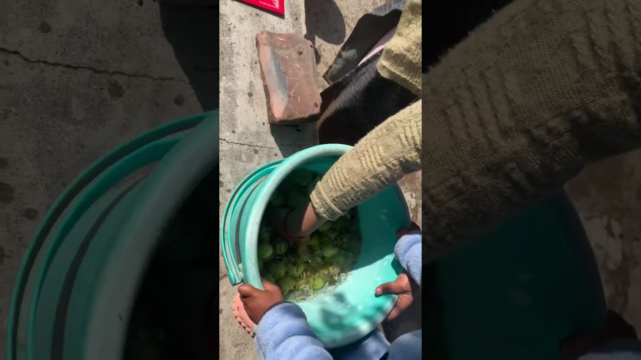 Aaj ye Kya bna Diya # viral # trending # video # dailylifevideo## 