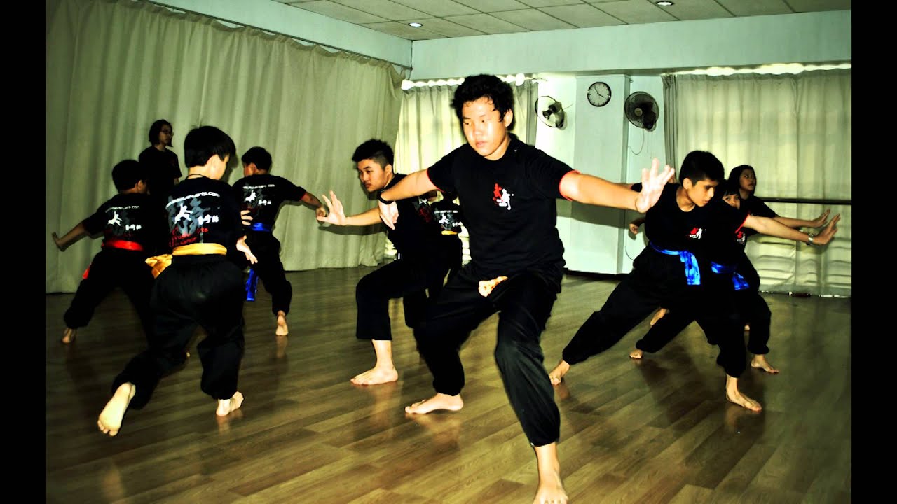 Wushu Ethos 2015--Lee Wushu Arts Open Day