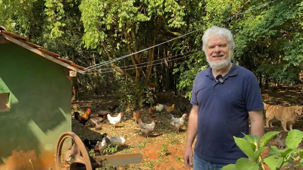 UM ANTIGO MOINHO DE PEDRA PRESERVADO POR DÉCADAS