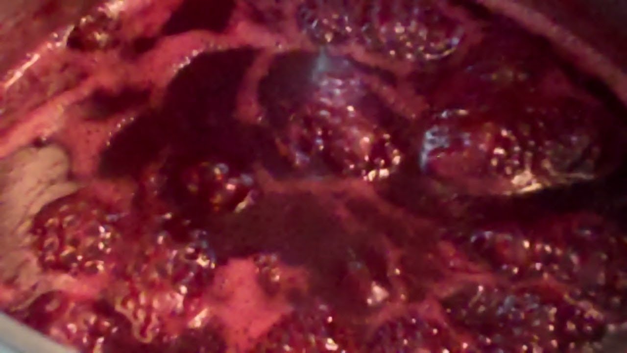 MAKING PRICKLY PEAR JELLY. EPISODE:67