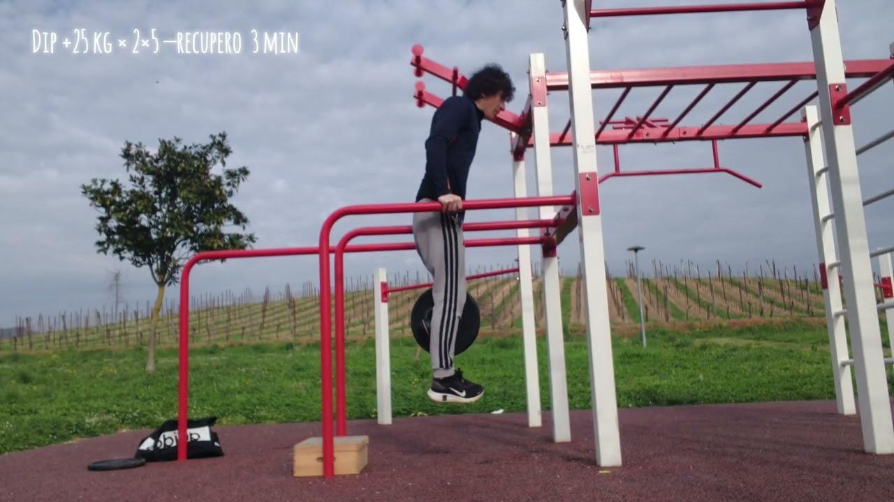 Dip Workout – Session 1 (Parte uno)