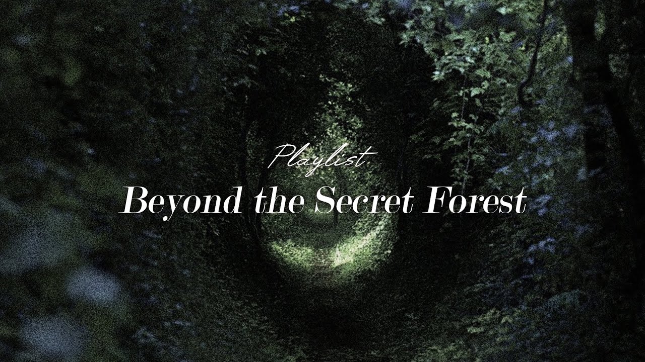 Quiet Instrumental Music | Beyond the Secret Forest