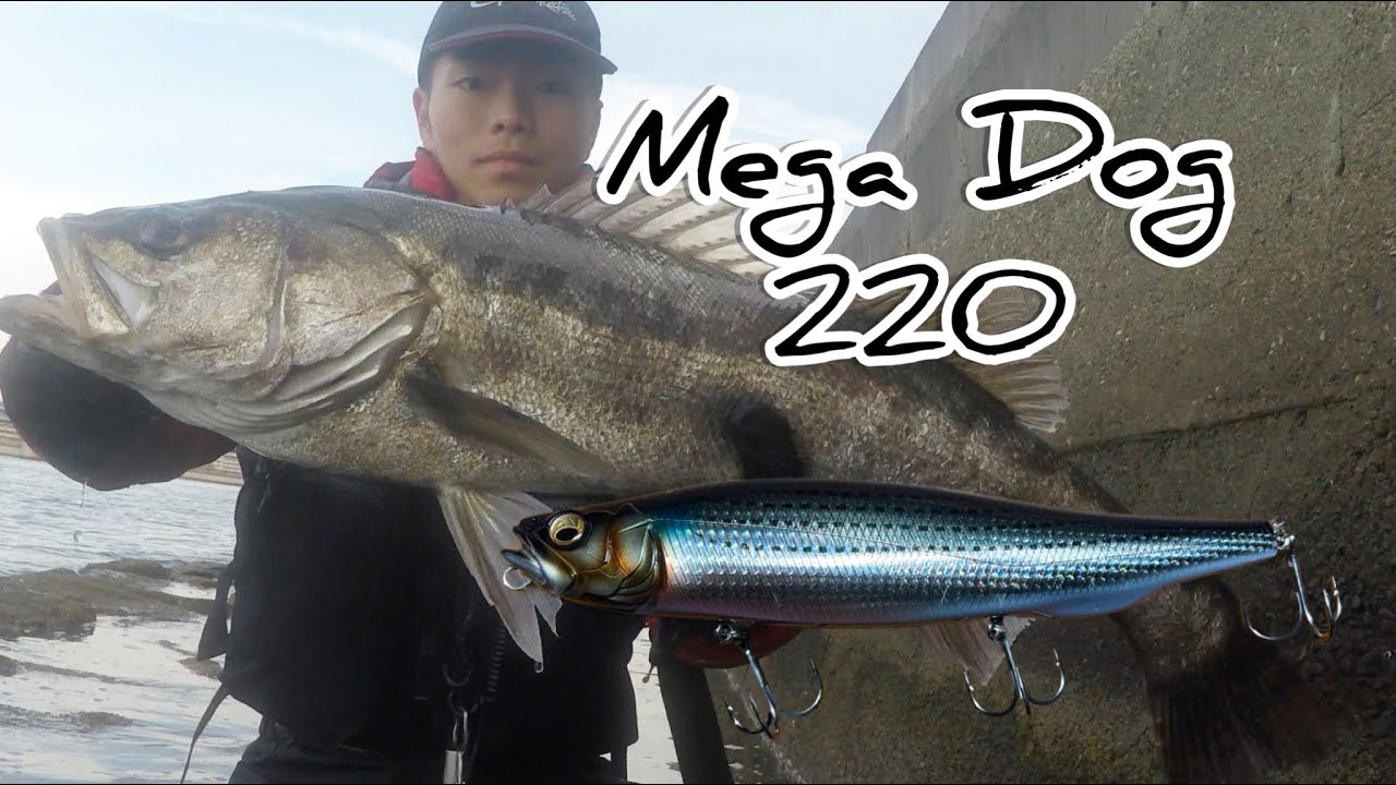 メガドッグ220　ランカーシーバス