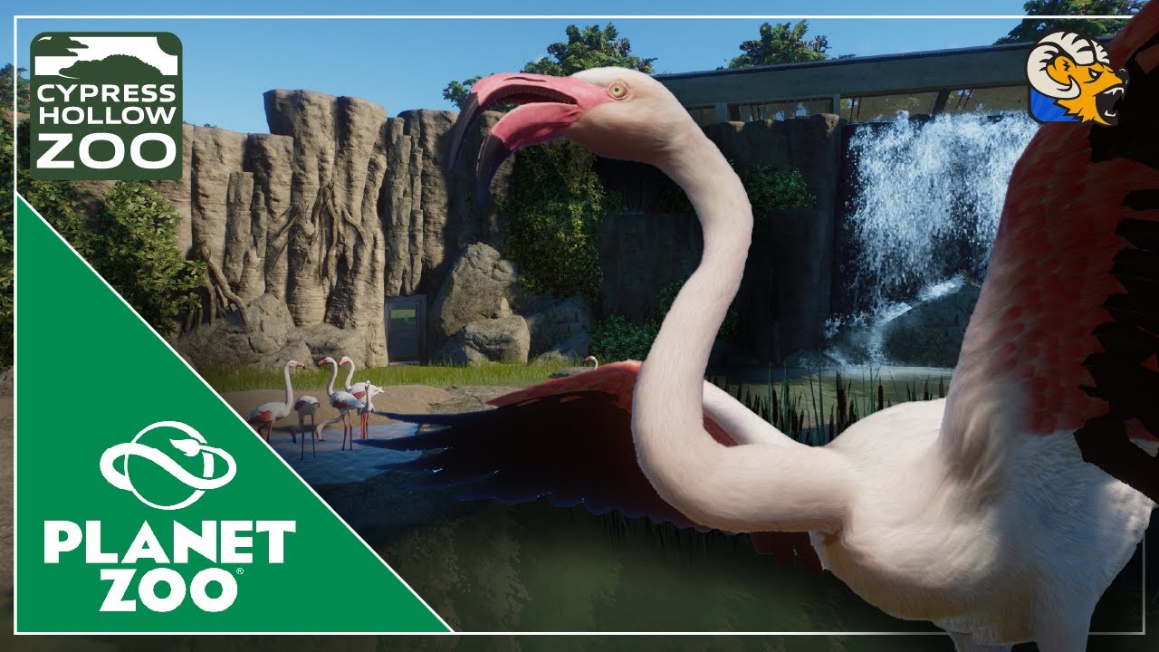 Building a Paradise for Flamingos | Cypress Hollow Zoo | Planet Zoo