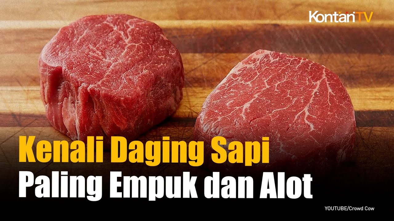 6 Potongan Daging Sapi dari yang Paling Empuk hingga Alot | KONTAN News