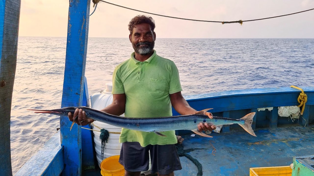 மண்டூக்கு வைத்து உயிரோடு பிடித்த முரல் மீன் சமையல்,திருக்கை பிடித்தல்|Episode:07|Deep Sea Fishing