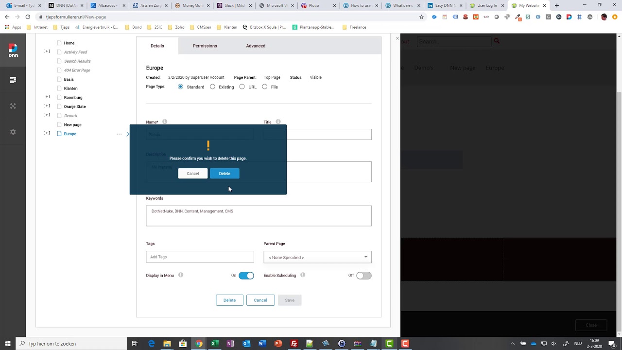Working with pages in DNN platform