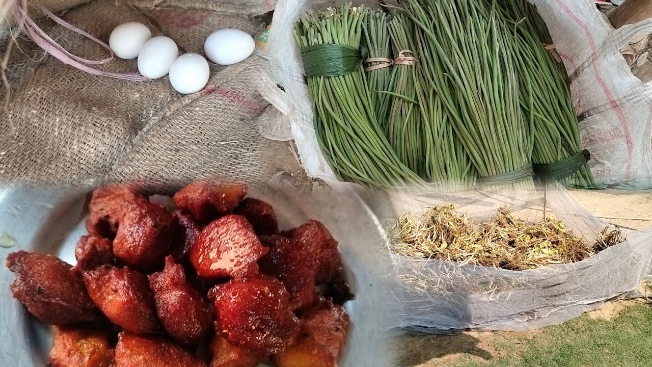 First time my hen lays eggs//drumstick arrived in the market//tomato fish curry 