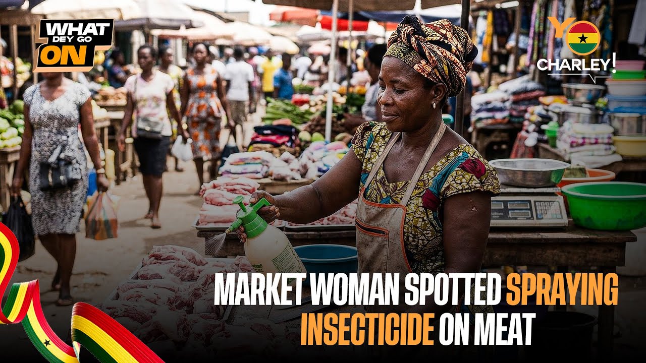 Market Woman Spotted Spraying Insecticide on Meat