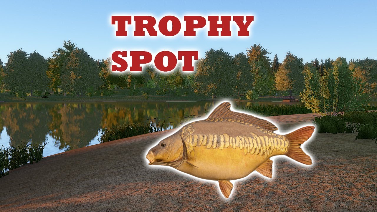 RF4 - AMBER LAKE VERY ACTIVE TROPHY CARP SPOT