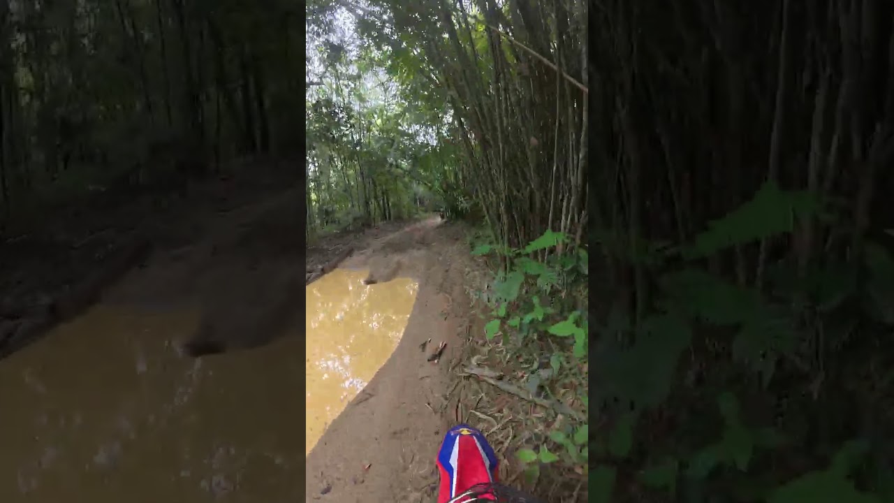 Jalan masuk ke Pak Mus campsite Tg Malim 