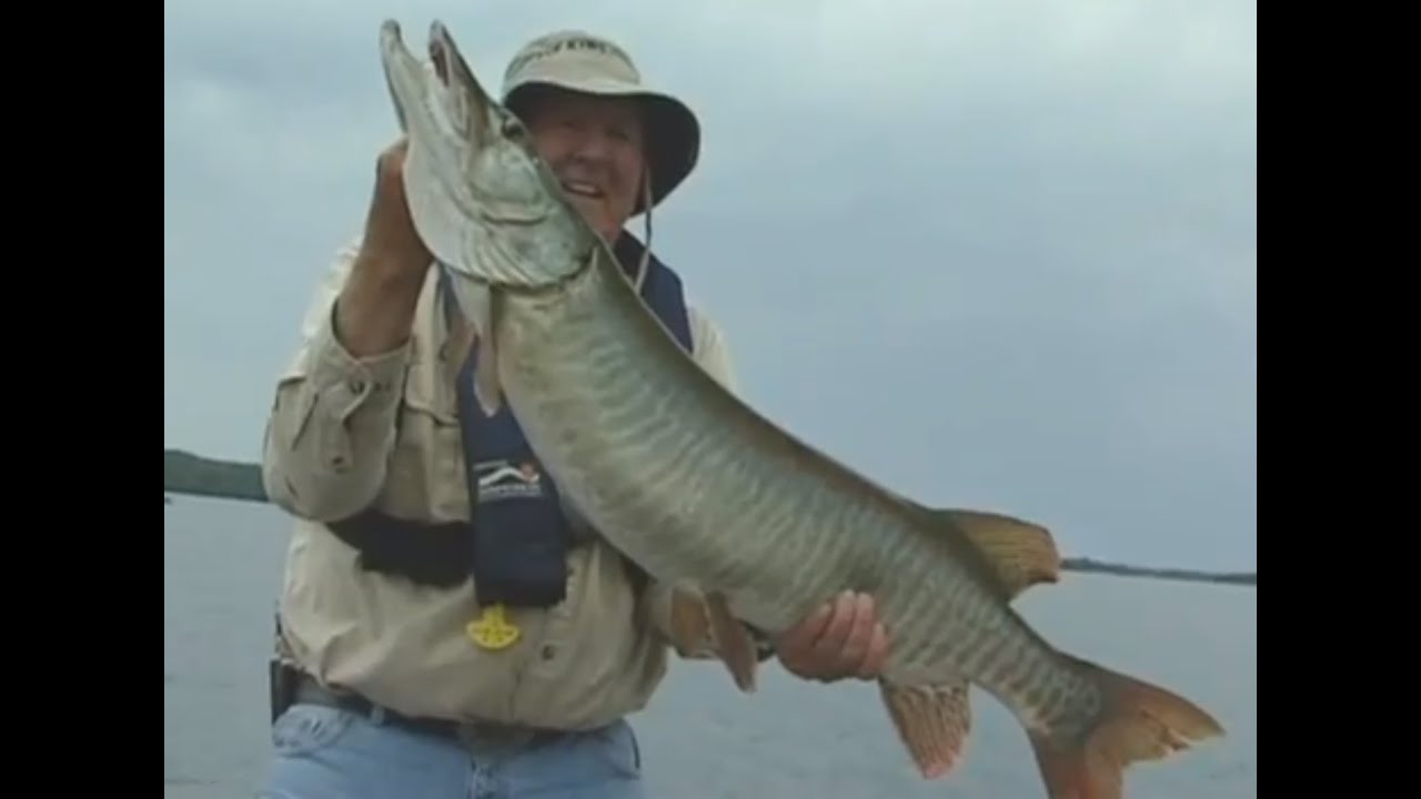 Компания Bob Mehsikomer's Simply Fishing и тренер Олсон ловят щук в Witch.