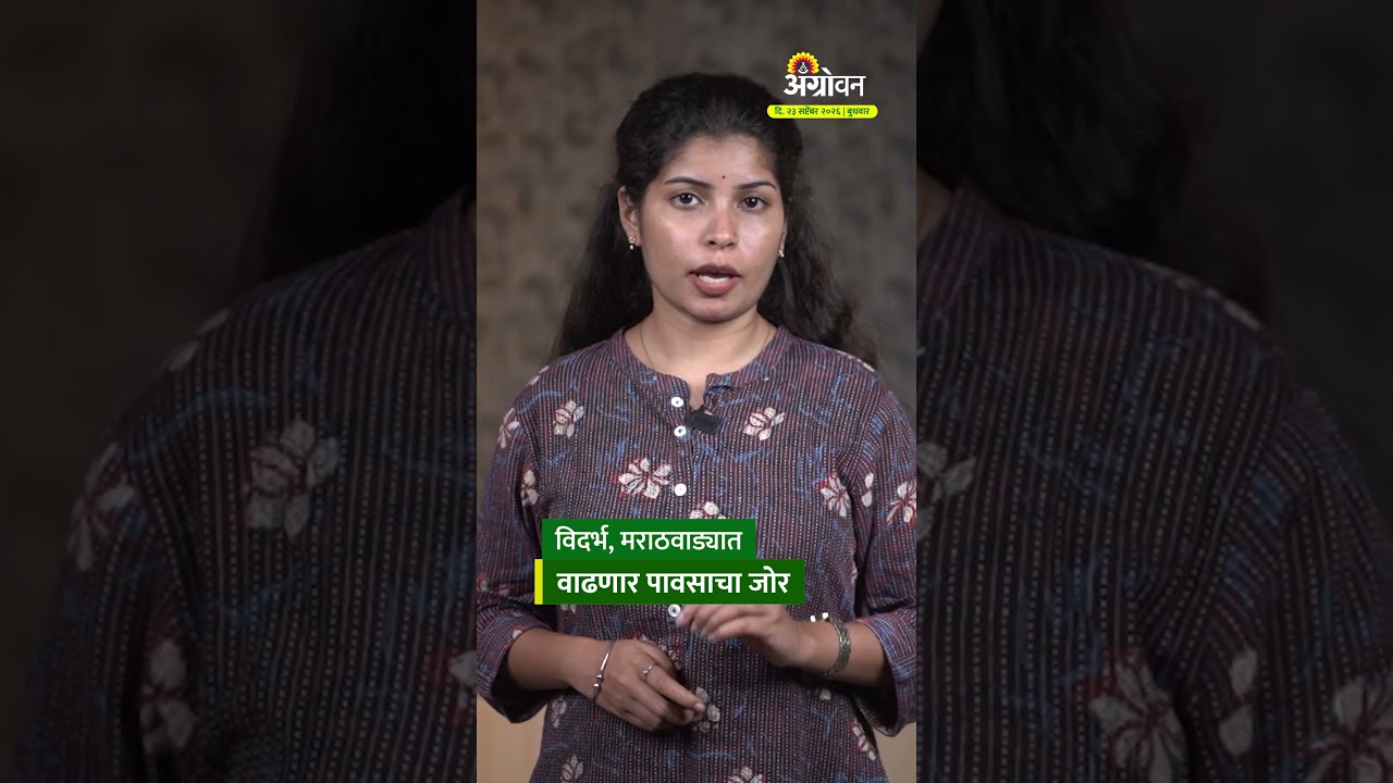 Rain Update : विदर्भ, मराठवाड्यात पावसाचा जोर वाढणार; वादळी पावसाचा Yellow Alert | Agrowon