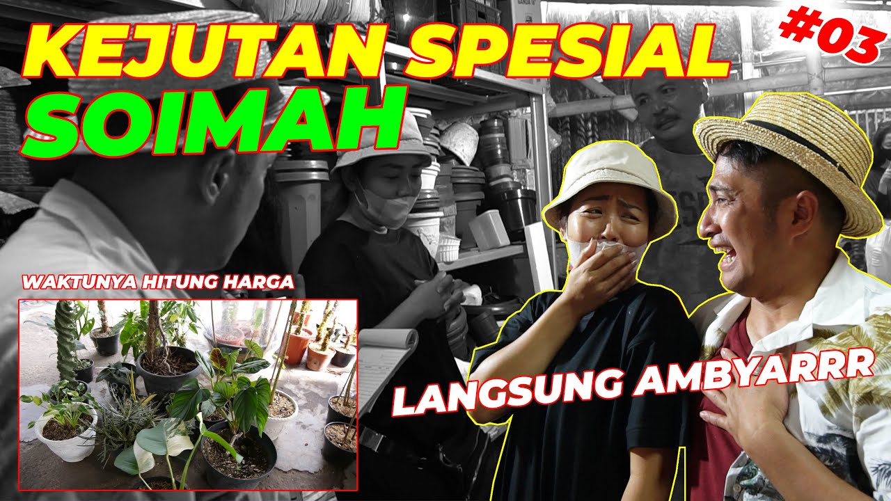 #EPS03 TANAMAN SOIMAH | DEG-DEGAN !! HITUNG HARGA TUMBUHAN YANG DIRAMPAS SOIMAH