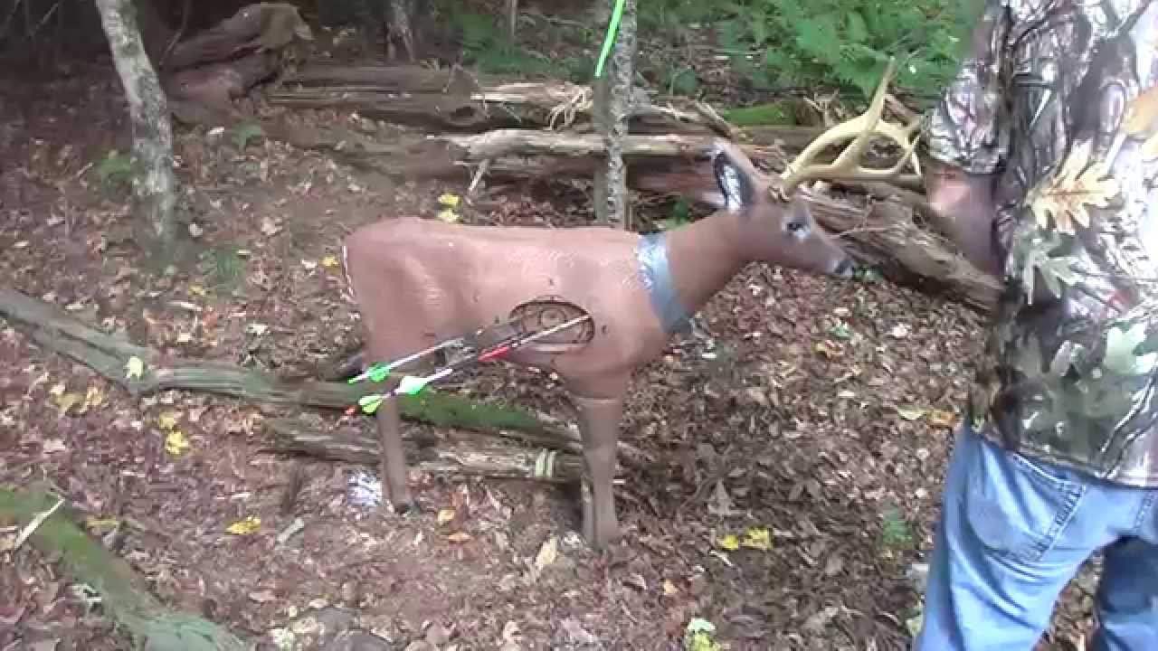 3D Archery Shoot