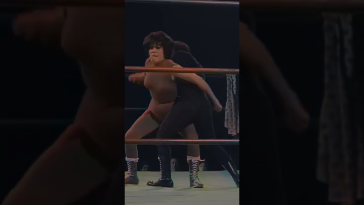 She wolves of the ring #shorts #she-wolf #ringfighter