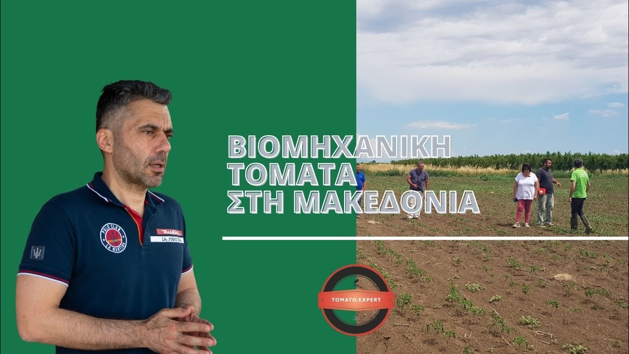 ΤΟ ΣΤΟΙΧΗΜΑ ΤΗΣ ΒΙΟΜΗΧΑΝΙΚΗΣ ΤΟΜΑΤΑΣ ΣΤΗ ΜΑΚΕΔΟΝΙΑ -  ΑΠΟΣΤΟΛΟΣ ΙΩΑΝΝΙΔΗΣ -EUROAGRO