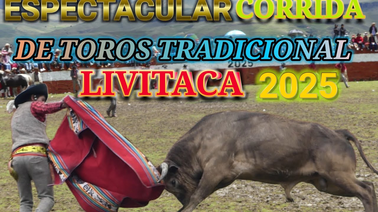 CORRIDA DE TOROS♉️ TRADICIONAL COSTUMBRISTA LIVITACA 2025 COMPLETO