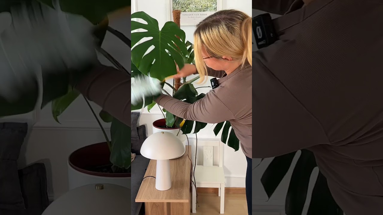Immerhin ist es jetzt sauber 🧼 #cleanwithme #asmrcleaning #putzvlog