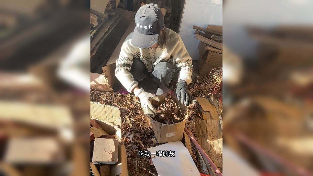 老铁们 接下来的几天我定能争取到日更啦