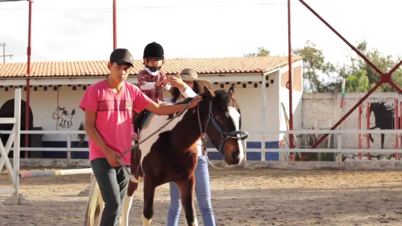 Guadalajara, Jalisco, México | Equinoterapia