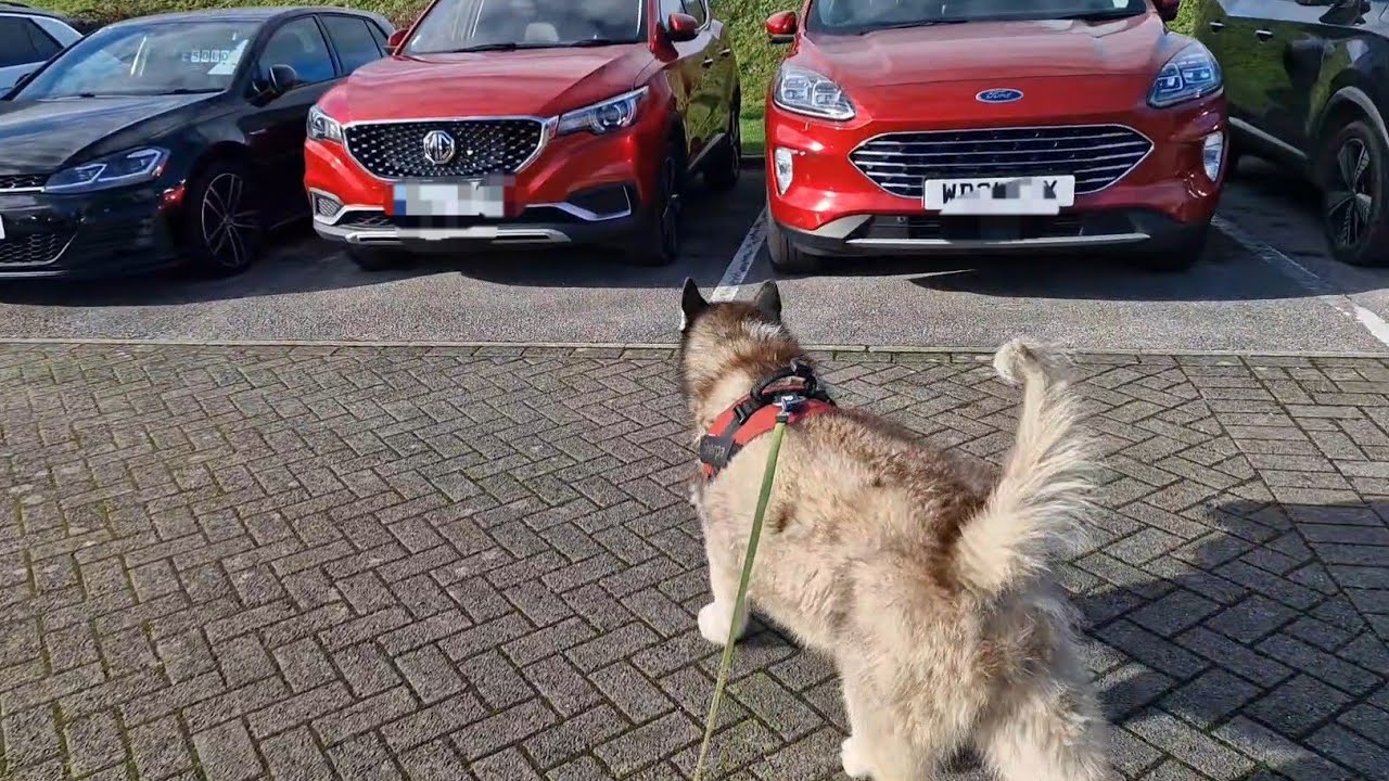 Have We Found The Next Sherpa Mobile