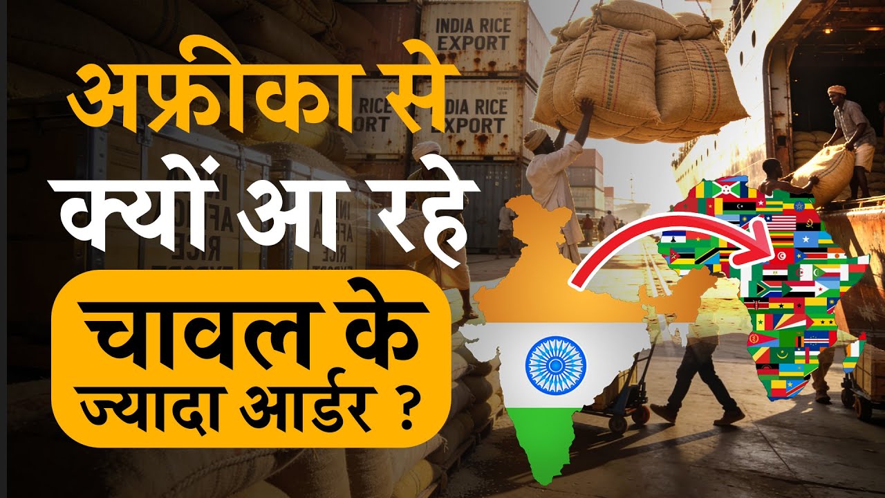 Rice Export इस सप्ताह कैसा रहा ? | Commodity Today