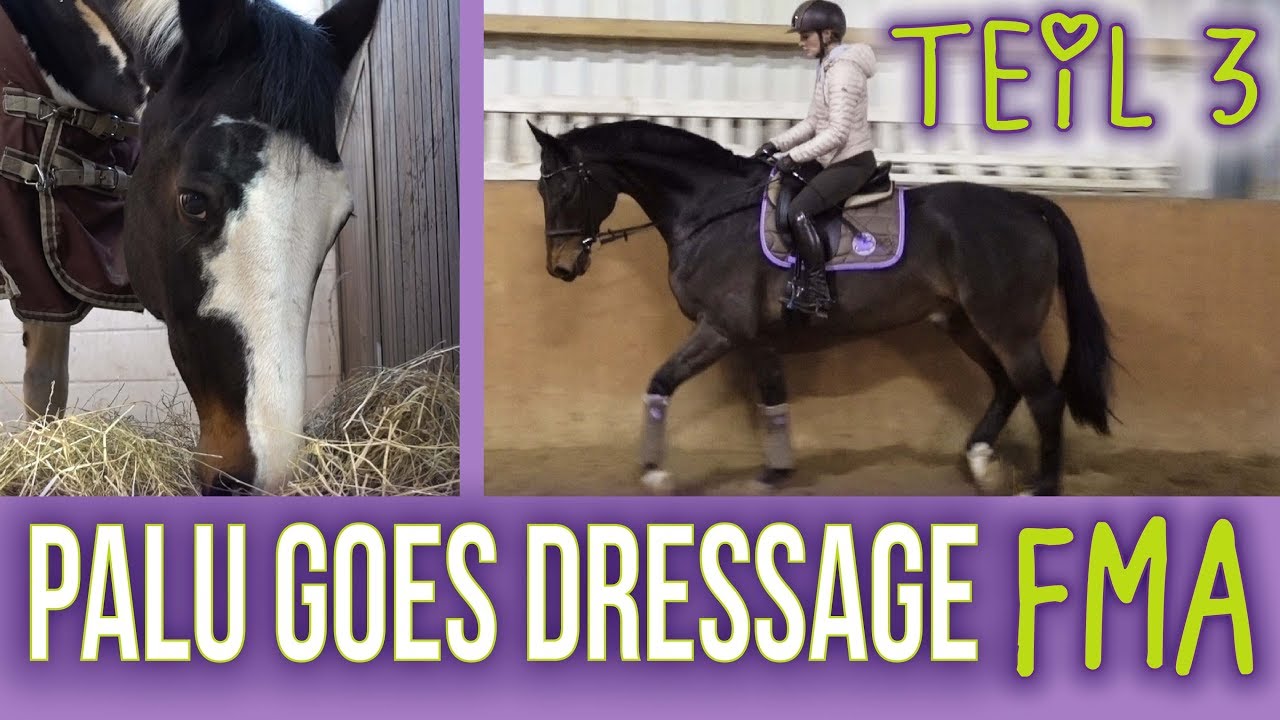 PALU & SAMMY reiten! |Stallarbeit! | XXL-FMA November (3/4)