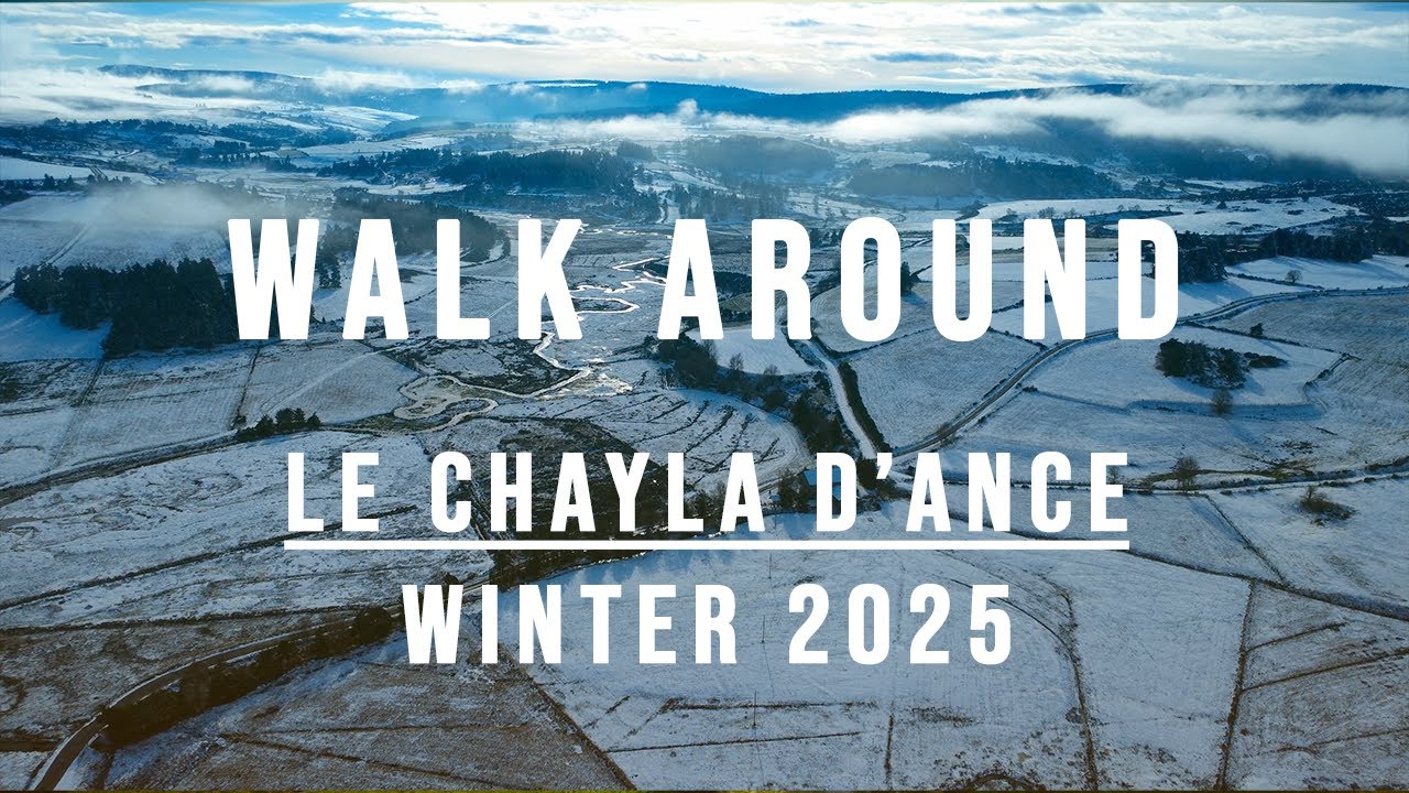 Walk Around 