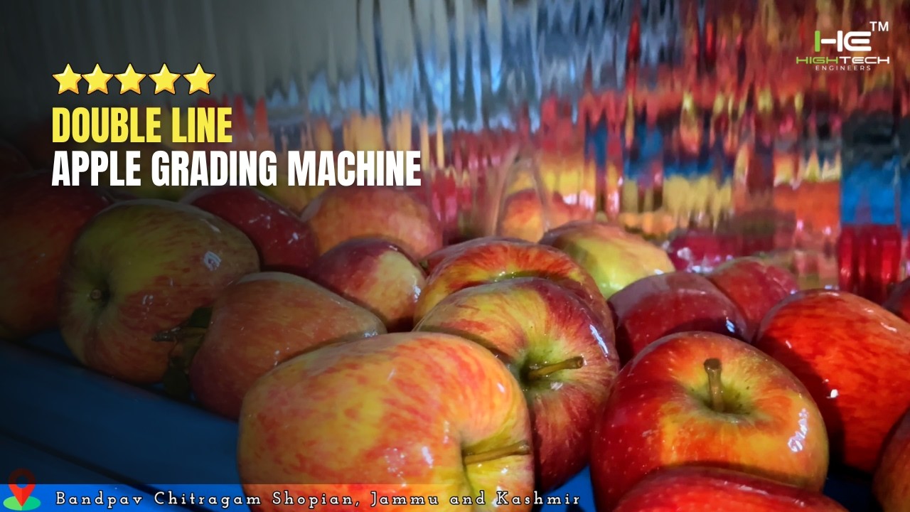 Double Line Apple Grading Machine in Shopian, J&K by High Tech Engineers - 99920-99970