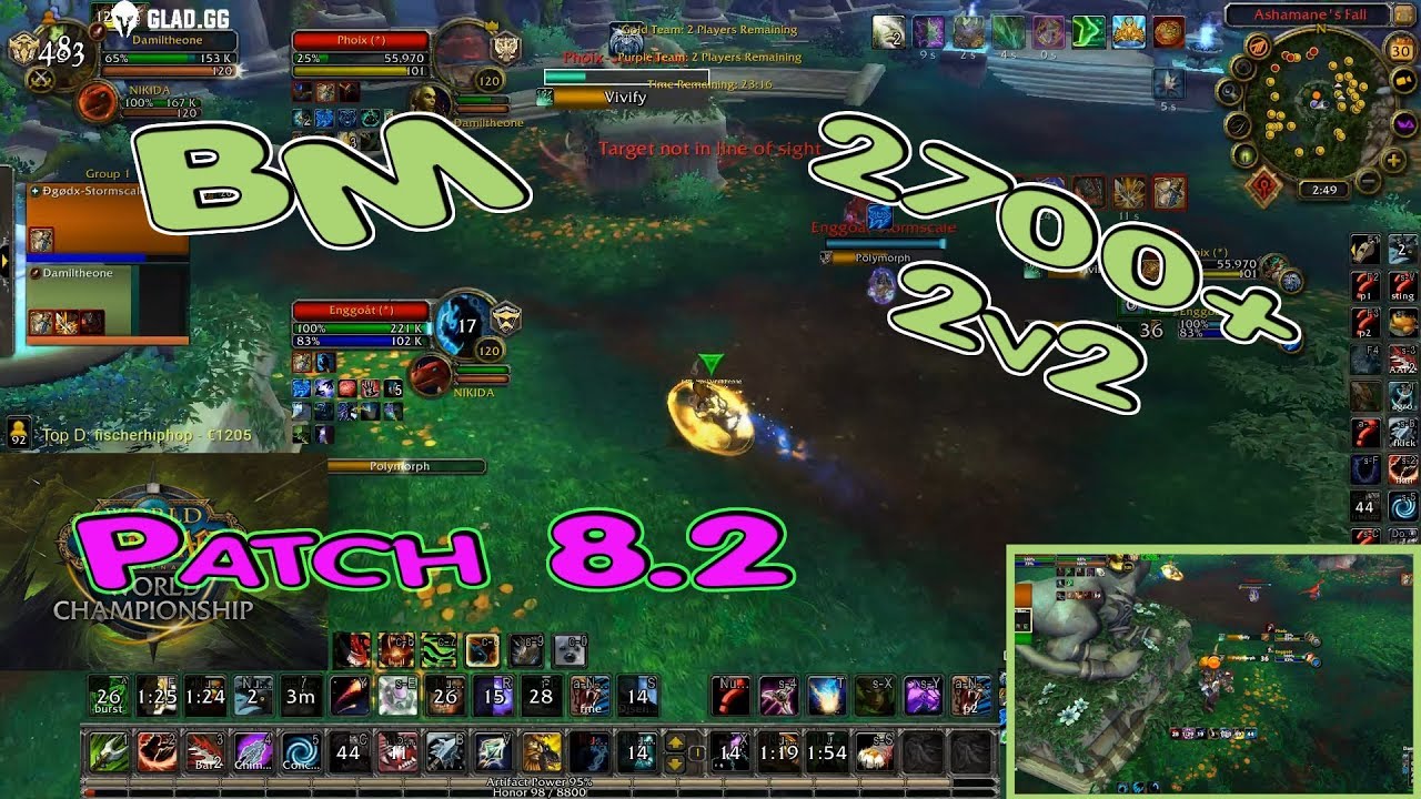 BEAST MASTERY Hunter ARENA 2700+ / BfA 8.2 2v2 PVP