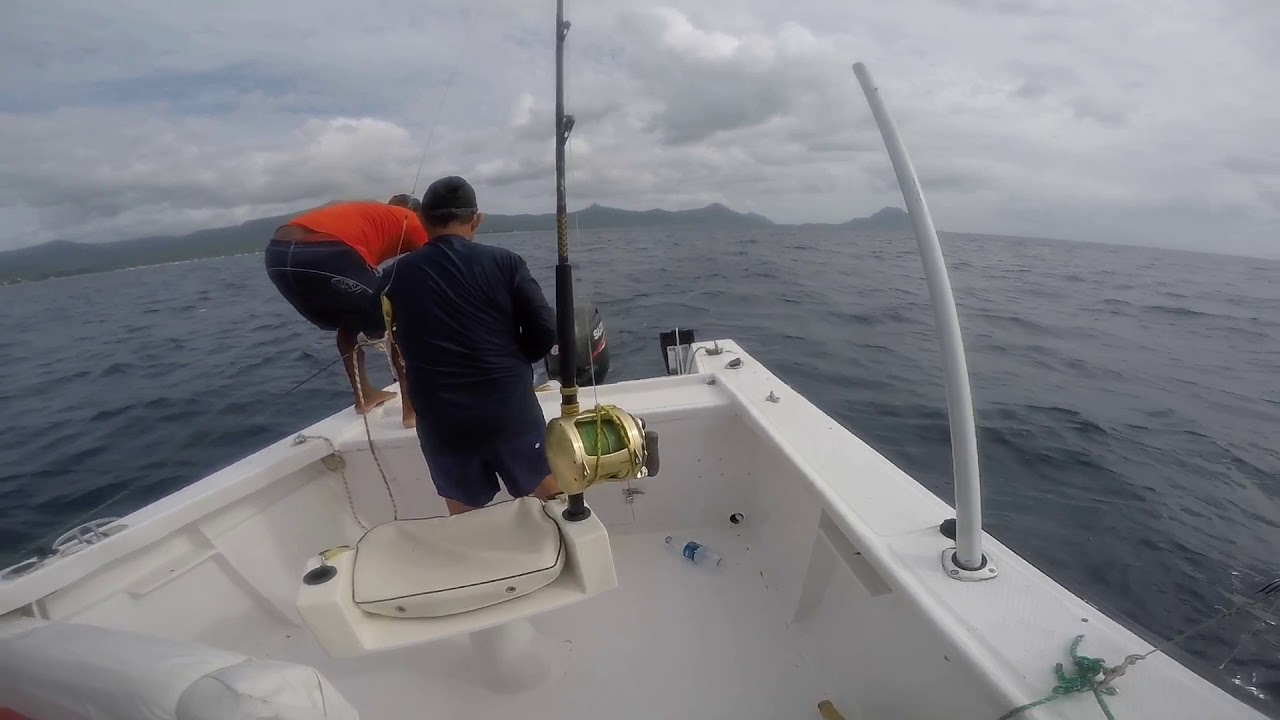 Blue Marlin 502LBS - Mauritius 01/18/2020 - JMP