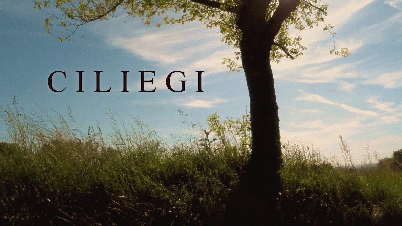 Spinozo - Ciliegi (Lyric Video)