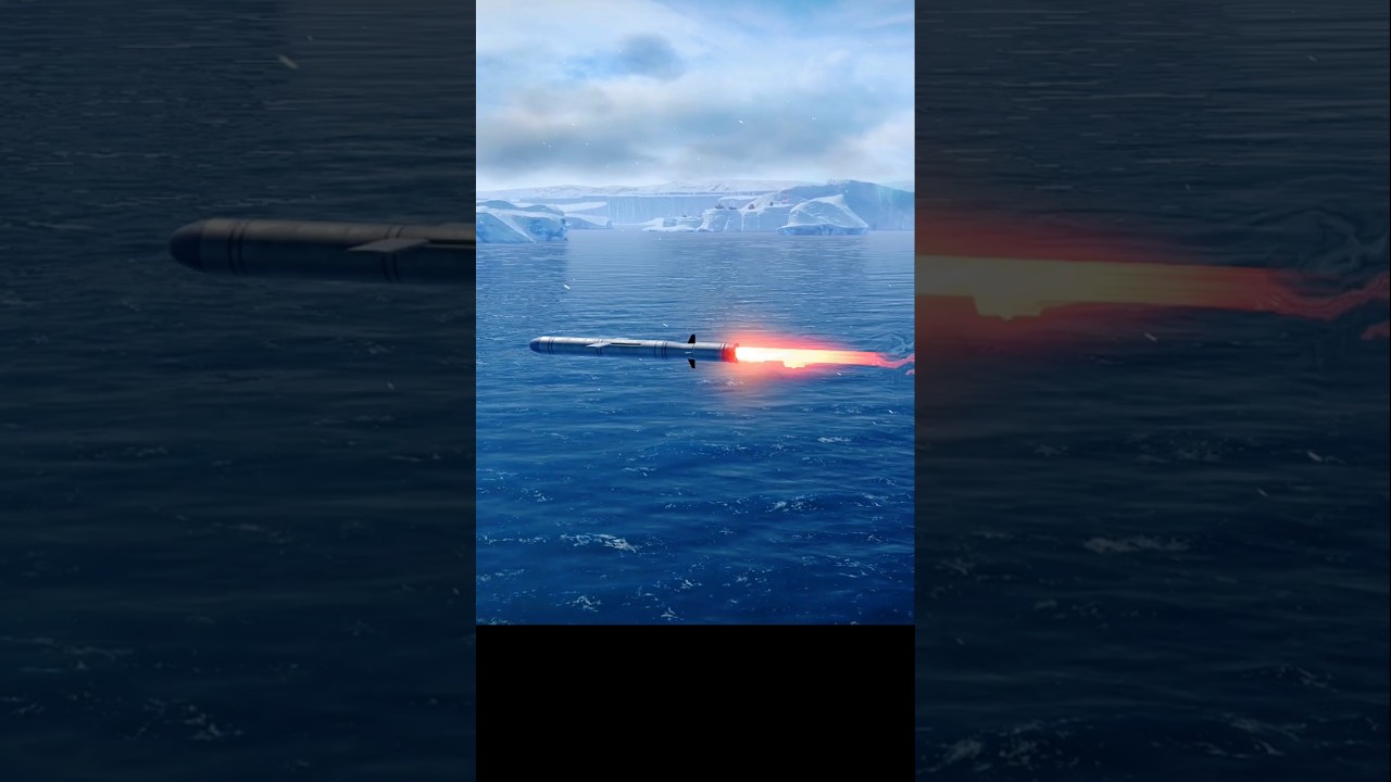 3M-54 Kalibr Russian long-range cruise missile!