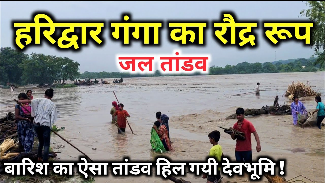 हरिद्वार गंगा का रौद्र रूप, उत्तराखंड में बादल फाड़ बारिश ने शुरू किया जल तांडव । Haridwar New Video