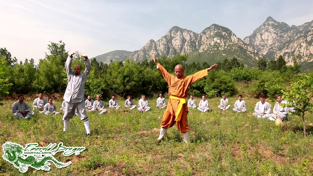 Shaolin Feng Bai Liu (Wind Moves the Willows) Qigong | Grandmaster Shi Deyang & Xing Ao at  Shaolin