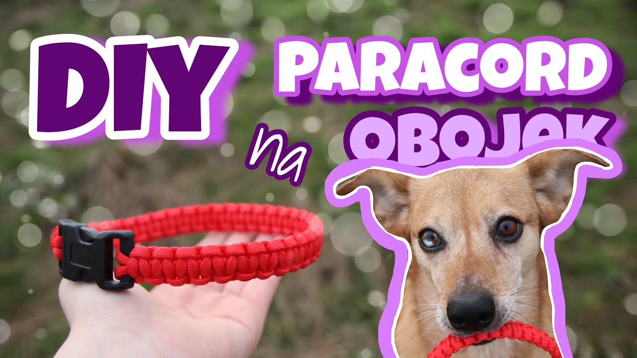 DIY | Paracordový obojek