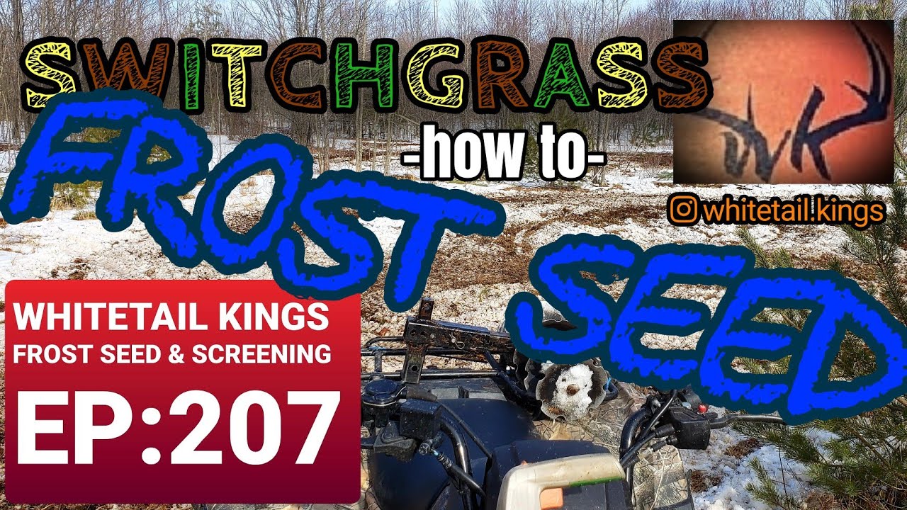 How to Frost Seed Switchgrass & Create Screening for Whitetails